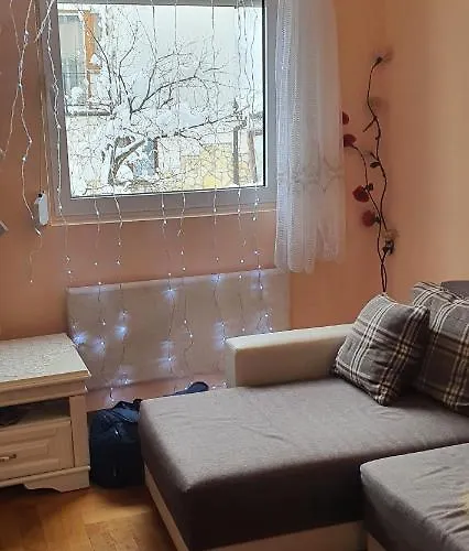 Bor ズラティボール